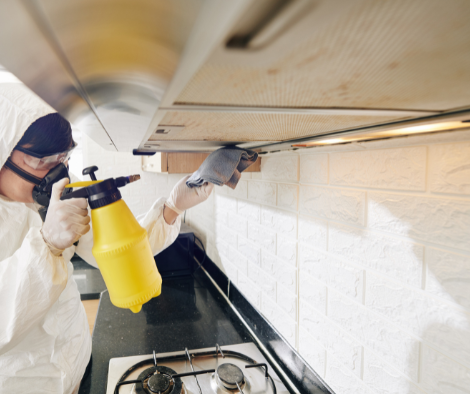 Restaurant Cleaning Service Albany Park