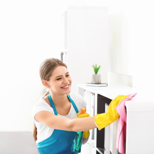 elgin il commercial cleaning cleaning services chicagoland