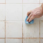 bathroom-mold-removal-tips