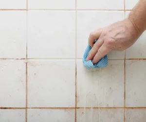bathroom-mold-removal-tips